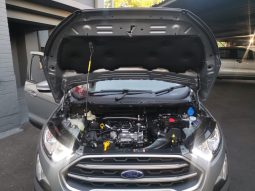 
										2023 Ford Ecosport 1.0 Ecoboost Trend full									