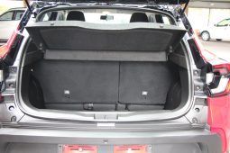 
										2021 Renault Kiger 1.0T Intens full									
