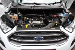 
										2020 Ford Ecosport 1.0 Ecoboost Trend full									