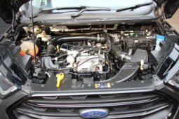 
										2023 Ford EcoSport 1.0 EcoBoost Active Automatic full									